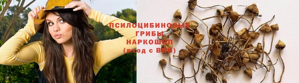 дживик Балабаново