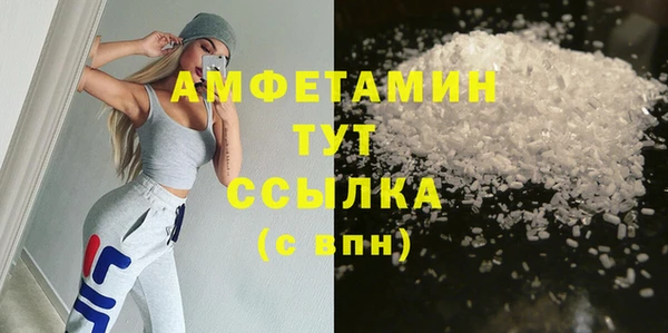 шишки Аркадак