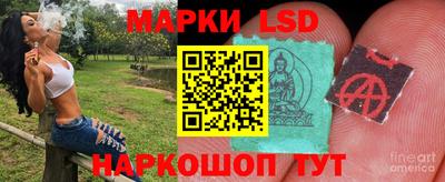 МДПВ Кандалакша