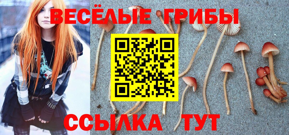 Галлюциногенные грибы Cubensis Ульяновск